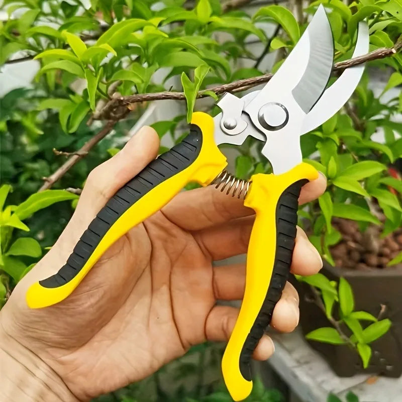 Sécateur Florévia présenté comme outil de jardinage pour arbustes et rosiers