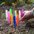 Lot d’étiquettes pour semis, herbes aromatiques et plantes en pot