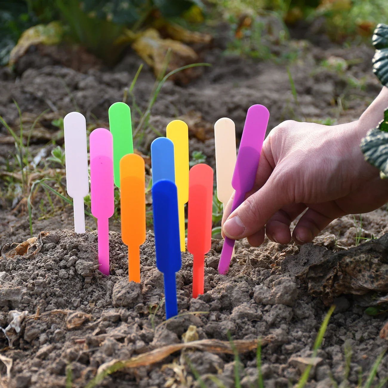 Lot d’étiquettes pour semis, herbes aromatiques et plantes en pot