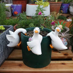 Décoration de pot en forme de canard pour plante d'intérieur ou d'extérieur