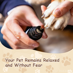 PawSoothe - Ponceuse à Ongles Silencieuse pour Animaux