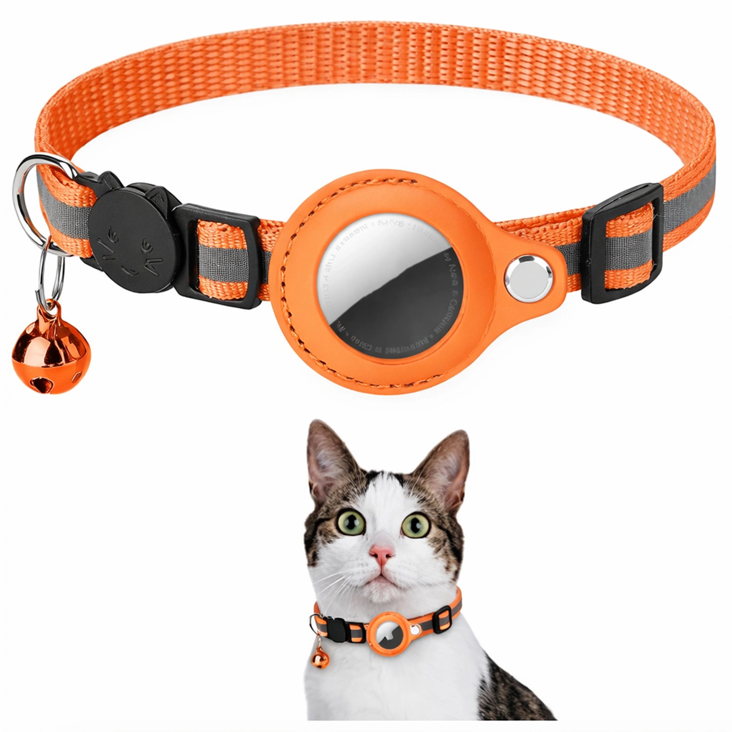 PawTrackr - Recevez des mises à jour instantanées sur la localisation de votre chat à tout moment, partout