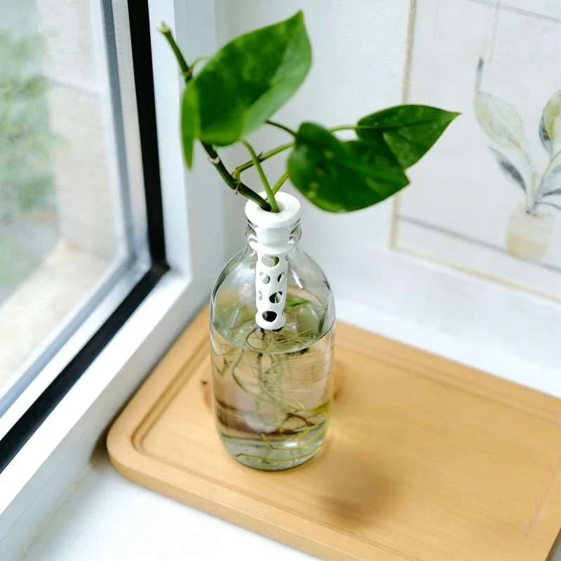 Insert Florévo utilisé comme décoration végétale minimaliste pour la maison