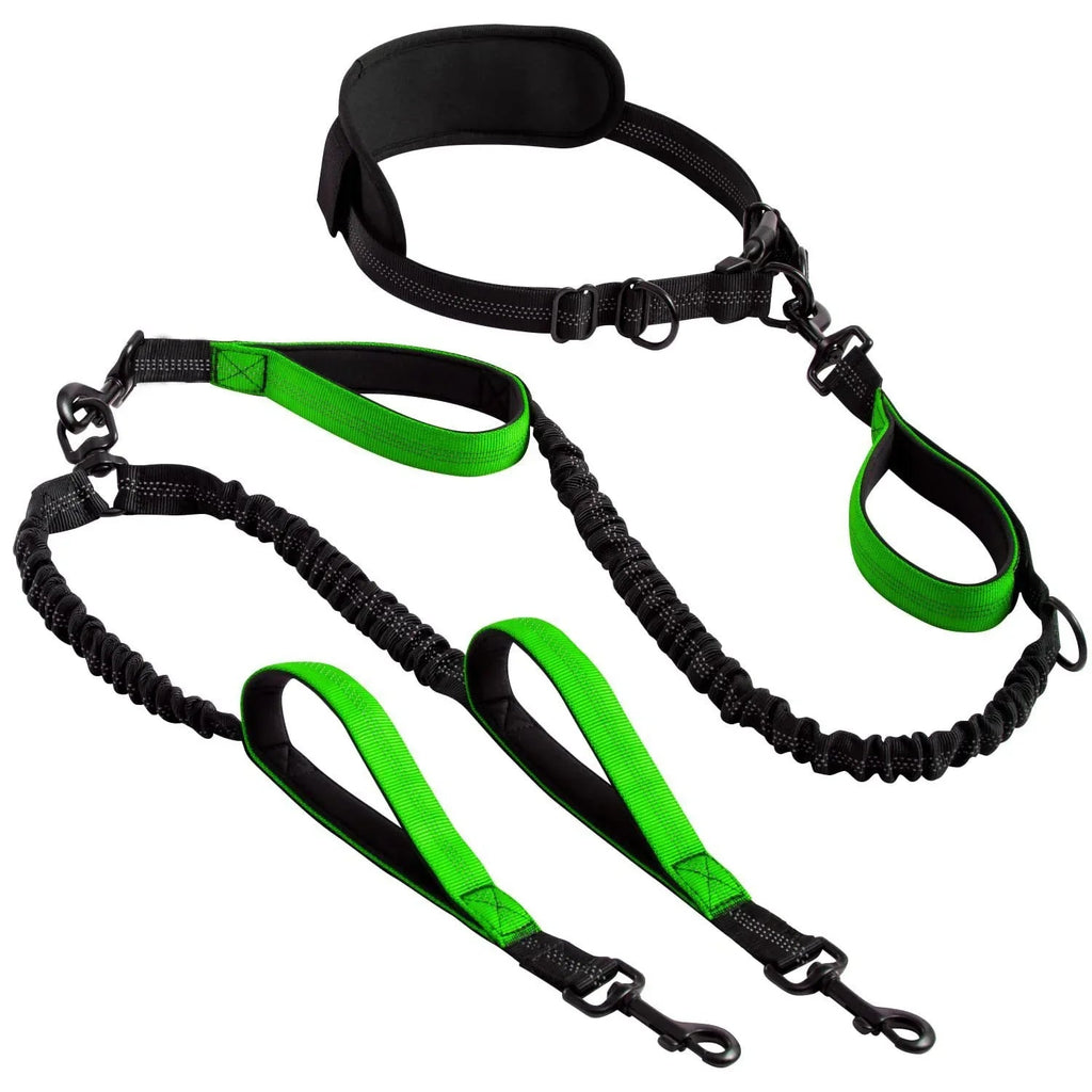 FreeStride - Gestion sans enchevêtrement et mains libres pour les promenades énergiques avec chien