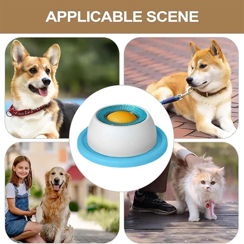 CalmPaws - Soulage instantanément l'anxiété des animaux et prévient les dégâts