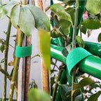 Attaches pour Plantes de Jardin | Nylon Auto-agrippant | Lot de 3 | Support Doux pour Plantes