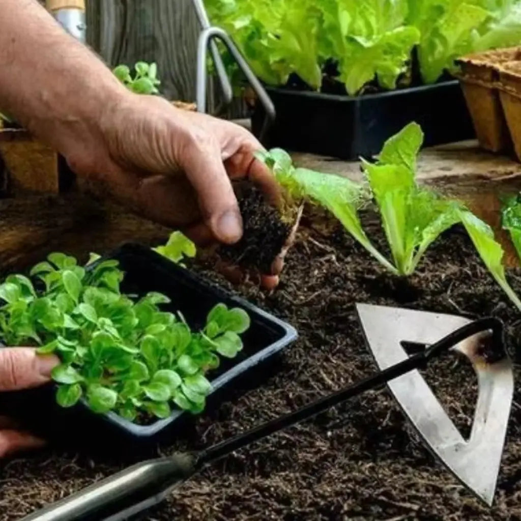 GardenEase™ - Extracteur de Mauvaises Herbes à Lame Creuse