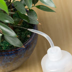 Bouteille Presseur pour Arroser les Succulentes | Bec Verseur de Précision | 250 ml