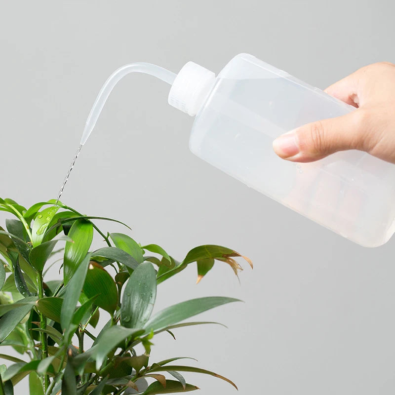 Bouteille Presseur pour Arroser les Succulentes | Bec Verseur de Précision | 250 ml