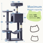 PurrHaven - Maintient le bonheur, le calme et le divertissement pour jusqu'à 23 chats