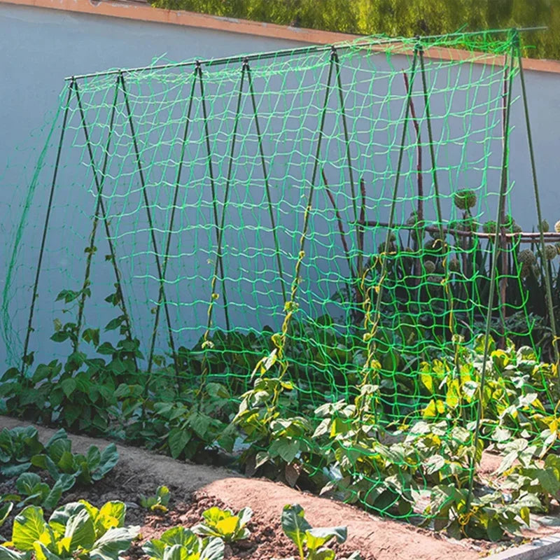 Filet de treillis de jardin | Polyester robuste | Maille carrée pour plantes grimpantes et légumes