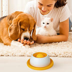 CalmPaws - Soulage instantanément l'anxiété des animaux et prévient les dégâts