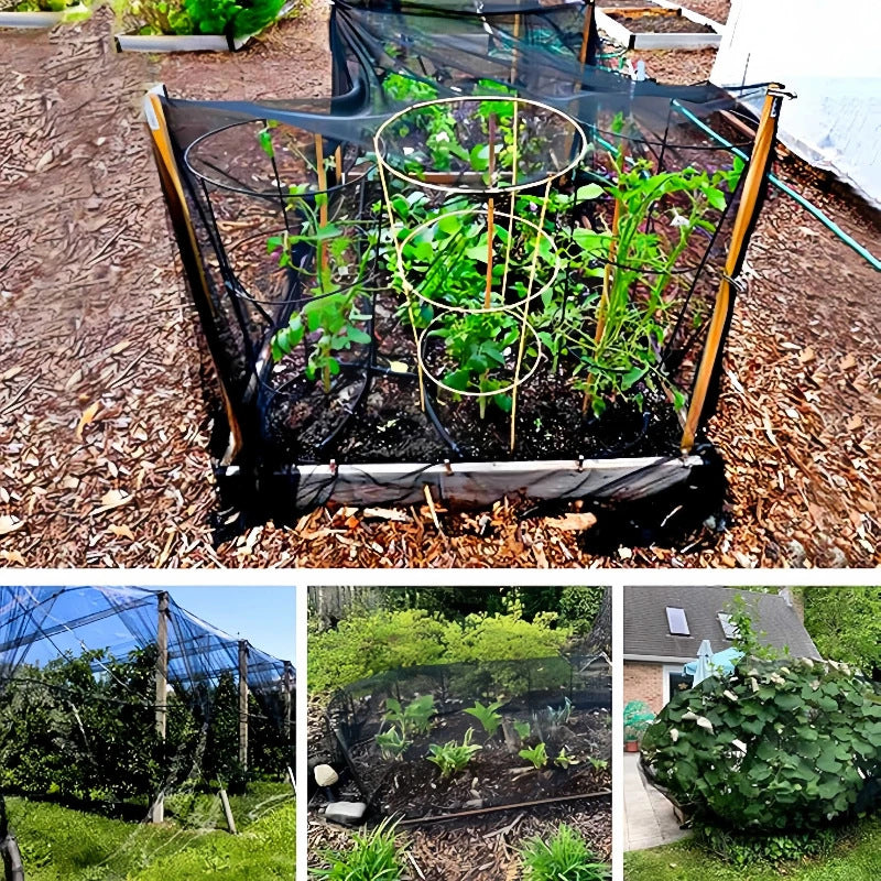 Moustiquaire à maille fine pour terrasse offrant une protection contre les insectes