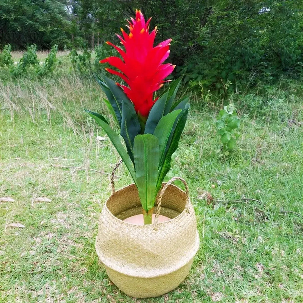 Panier suspendu en osier tressé à la main en herbe marine | Housse de pot de plante et panier de rangement | Gain de place