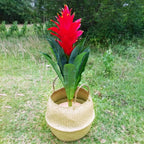 Panier suspendu en osier tressé à la main en herbe marine | Housse de pot de plante et panier de rangement | Gain de place