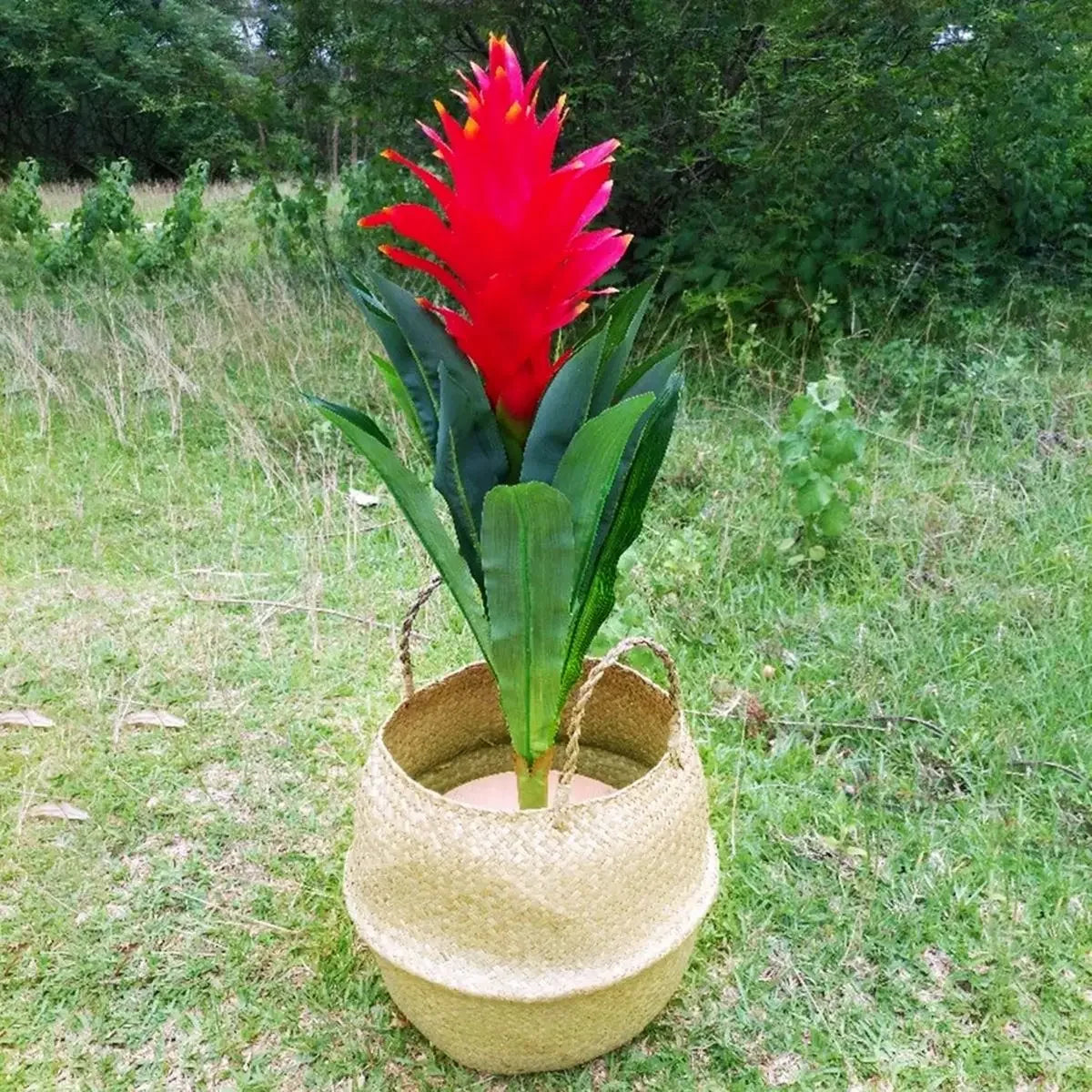 Panier suspendu en osier tressé à la main en herbe marine | Housse de pot de plante et panier de rangement | Gain de place
