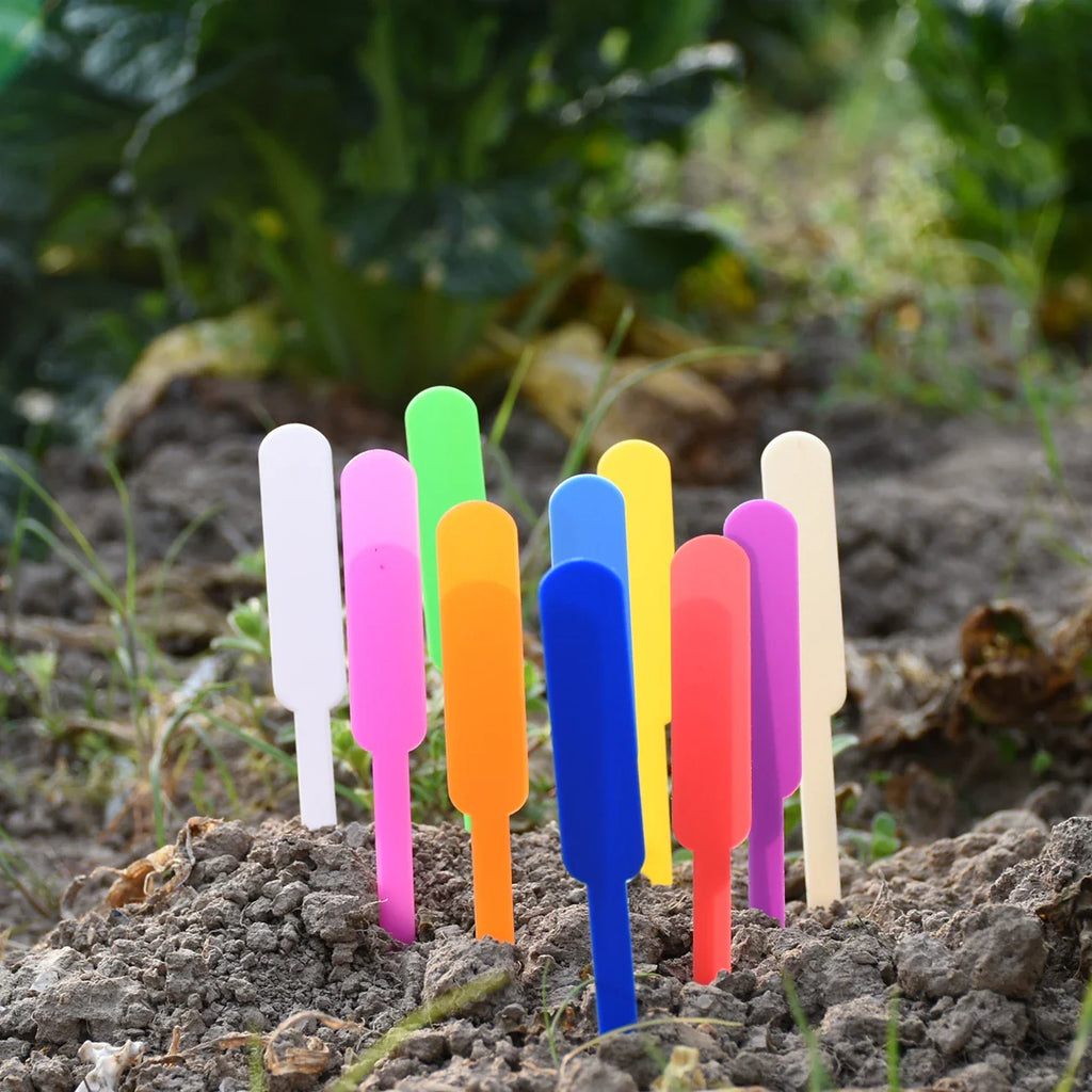 Étiquettes waterproof pour plantes présentées en lot de 50 pièces