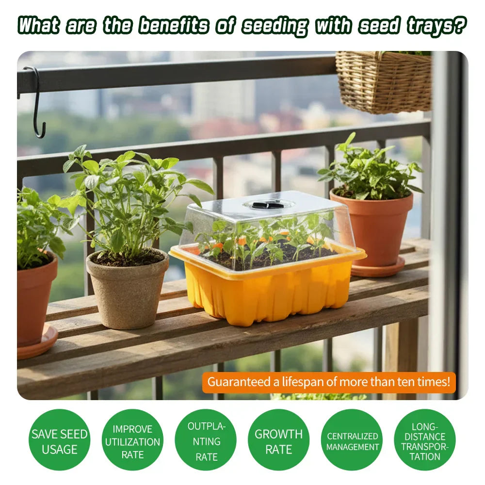 Kit de germination avec plateau de semis et abri transparent