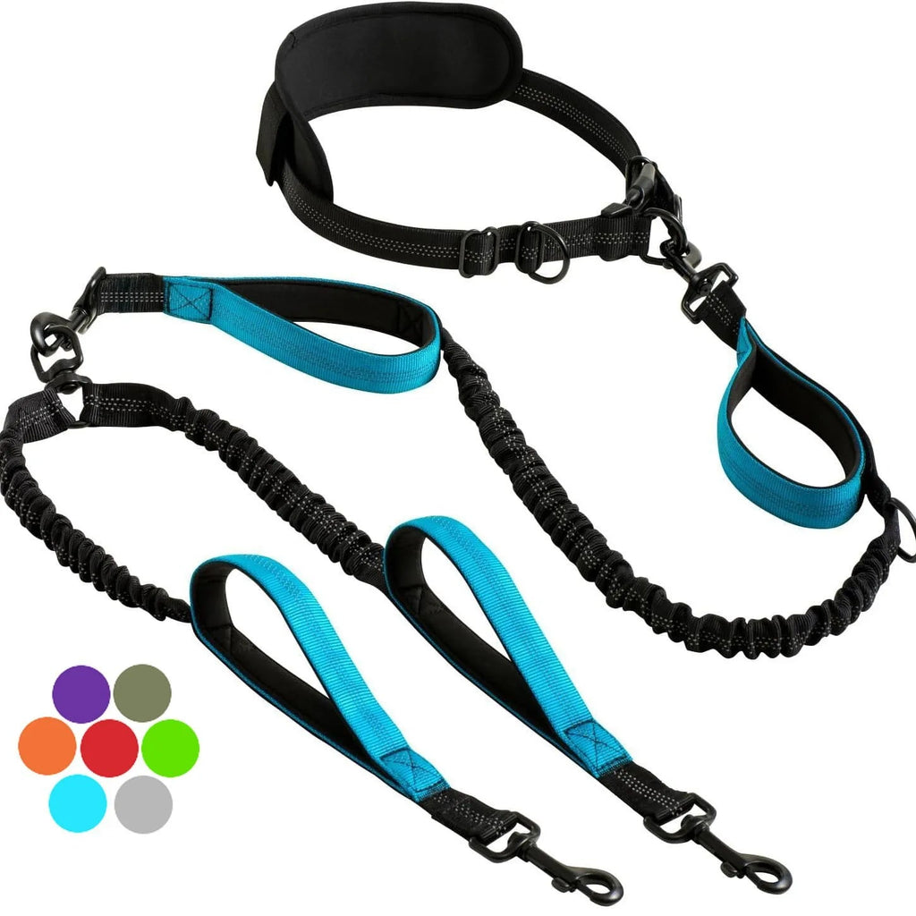 FreeStride - Gestion sans enchevêtrement et mains libres pour les promenades énergiques avec chien