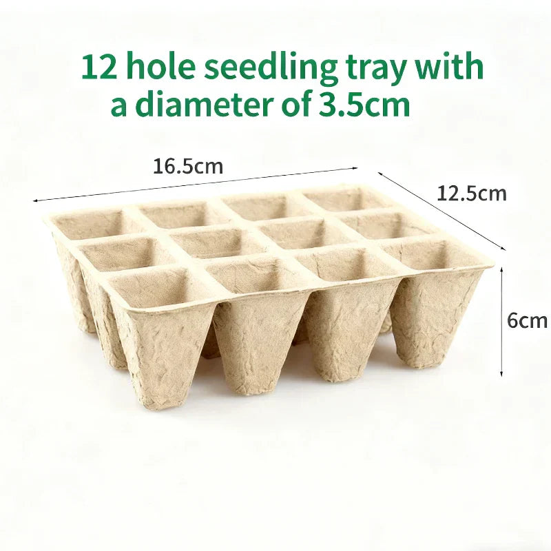 Plateaux à semis | Grille cellulaire biodégradable pour semis | Lot de 5 | Transplantation simplifiée