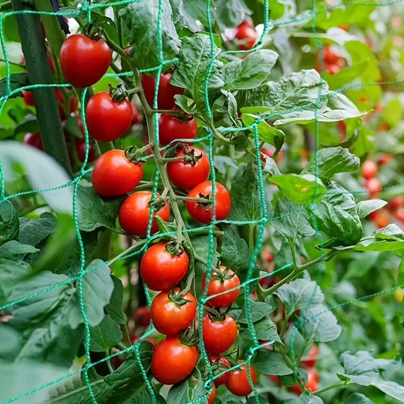 Filet de treillis de jardin | Polyester robuste | Maille carrée pour plantes grimpantes et légumes
