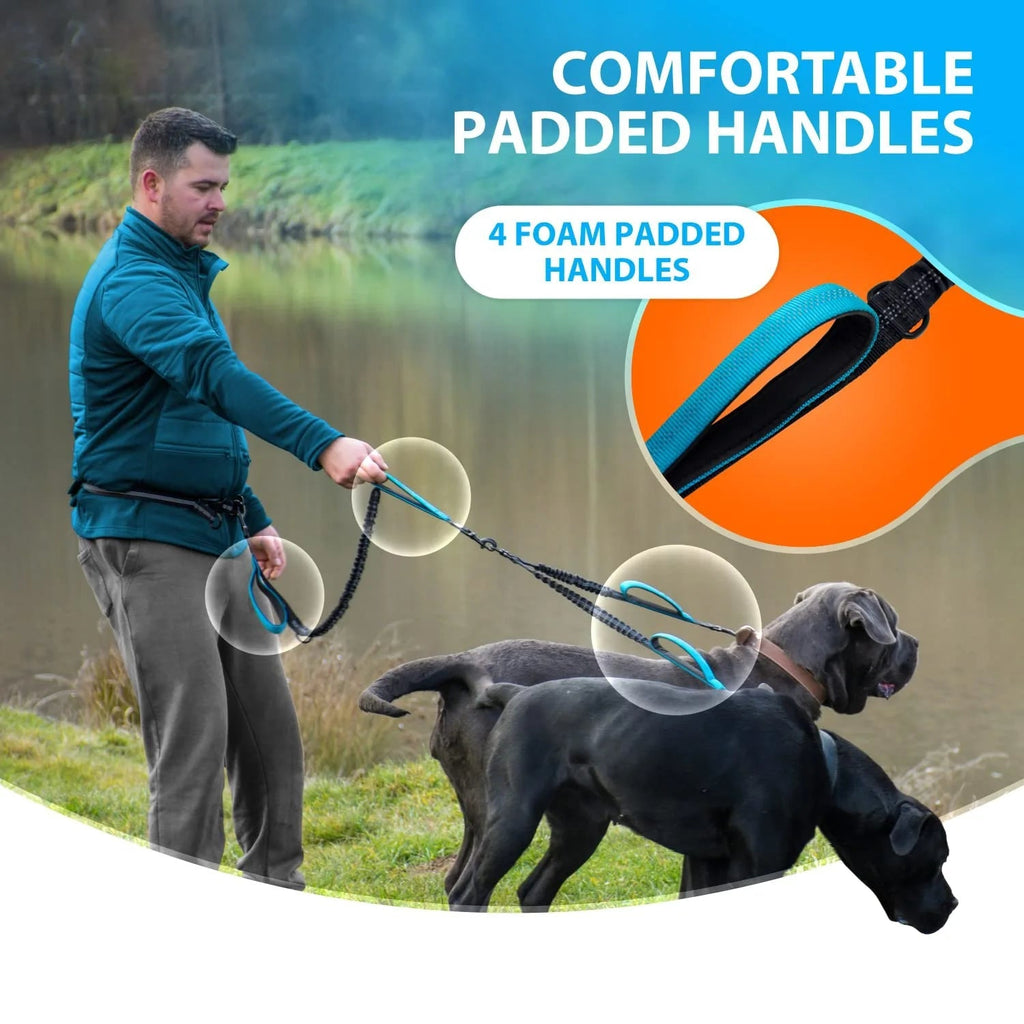 FreeStride - Gestion sans enchevêtrement et mains libres pour les promenades énergiques avec chien