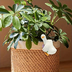 Figurine canard en résine suspendue au bord d'un pot de fleurs