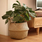 Panier suspendu en osier tressé à la main en herbe marine | Housse de pot de plante et panier de rangement | Gain de place