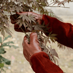 Paire de gants de jardinage avec poignet élastique sur fond clair