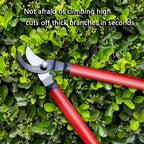 Vue de profil du sécateur robuste pour tailler branches et arbustes
