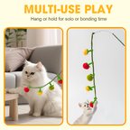 PurrVibe - Éveillez la Joie et la Vitalité chez Votre Chat Dès Maintenant