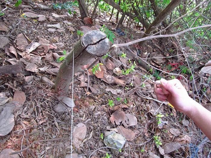 RazorFlex™ - Scie à Fil Acier Inoxydable Survie Plein Air