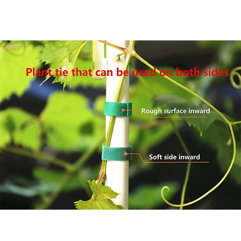 Attaches pour Plantes de Jardin | Nylon Auto-agrippant | Lot de 3 | Support Doux pour Plantes
