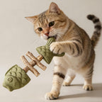 PurrEase - Apaise naturellement les chats tout en nettoyant doucement leurs dents