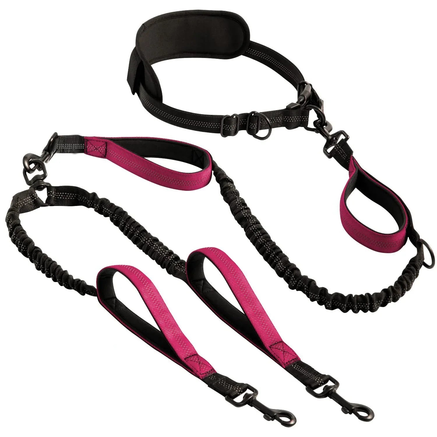FreeStride - Gestion sans enchevêtrement et mains libres pour les promenades énergiques avec chien