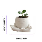 Cache-pot style zen avec plante, idéal pour décoration intérieure