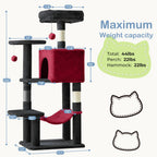 PurrHaven - Maintient le bonheur, le calme et le divertissement pour jusqu'à 23 chats