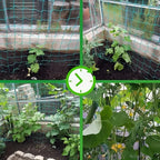 Filet de treillis de jardin | Polyester robuste | Maille carrée pour plantes grimpantes et légumes