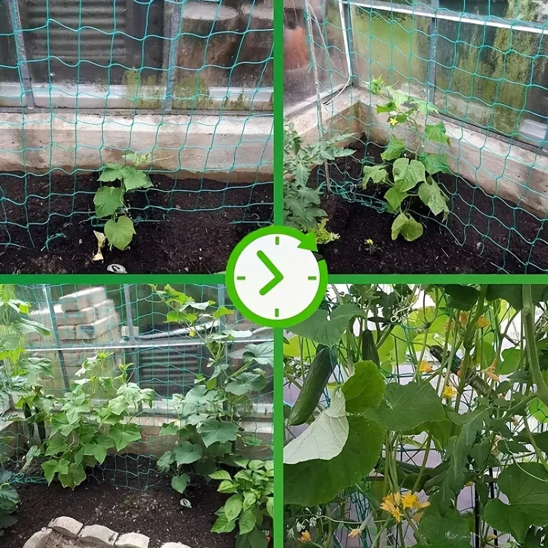 Filet de treillis de jardin | Polyester robuste | Maille carrée pour plantes grimpantes et légumes