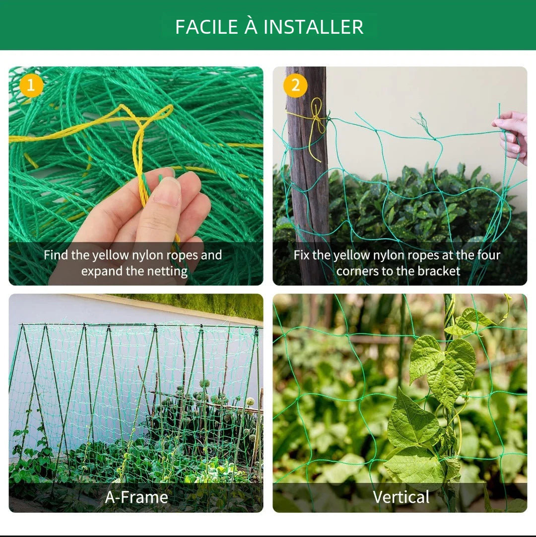 Filet de treillis de jardin | Polyester robuste | Maille carrée pour plantes grimpantes et légumes