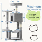 PurrHaven - Maintient le bonheur, le calme et le divertissement pour jusqu'à 23 chats