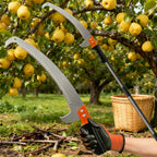 Outil de jardin Arbovix en action pour tailler une branche en hauteur