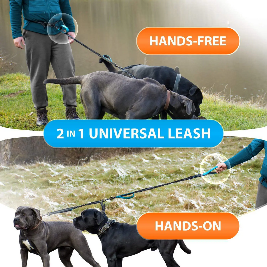 FreeStride - Gestion sans enchevêtrement et mains libres pour les promenades énergiques avec chien